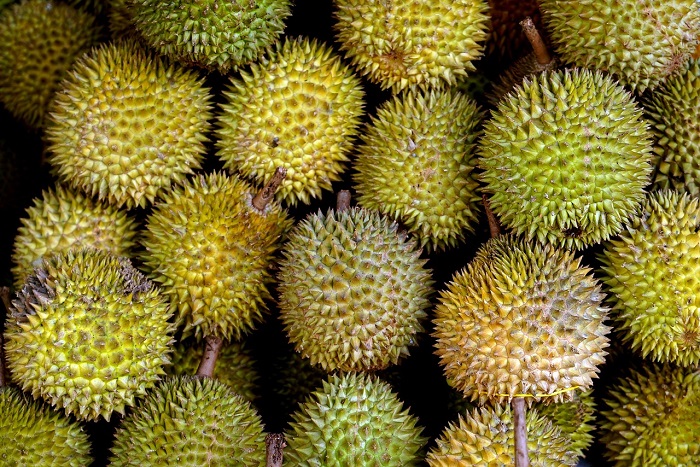 Tiongkok Resmi Buka Akses Ekspor Durian Beku Indonesia. (Pixabay.com/ignartonosbg)