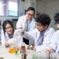 Singapore Intercultural School (SIS) resmi menghadirkan kampus barunya di Hiera, BSD City, yakni kawasan hunian modern dan berkelanjutan hasil kolaborasi Mitbana dan Sinar Mas Land. Pembangunan SIS BSD City direncanakan dimulai pada Q4 2025 dan dibangun di atas lahan seluas +/- 1  hektare dengan menyediakan jenjang pendidikan dari Pre-school hingga Primary